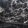 Forest Black